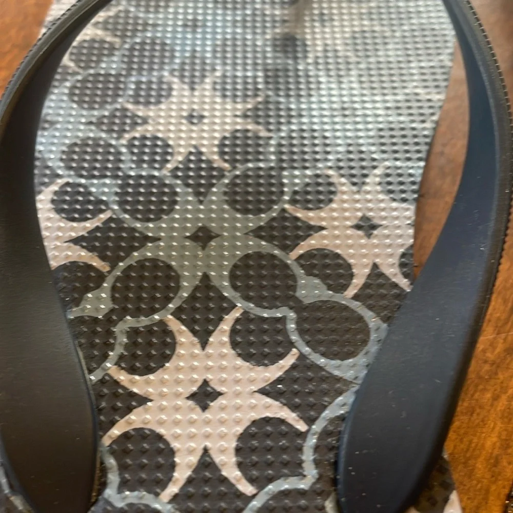 Coach Alessa Women's Patterned Blue Sandals